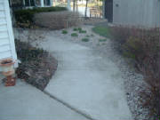 dscf1036.jpg